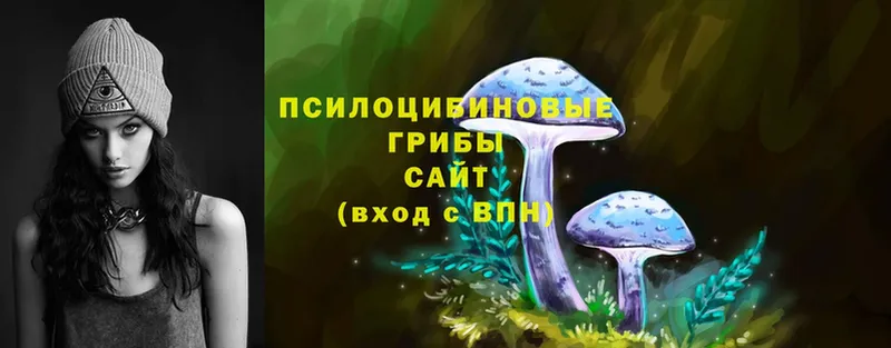 Галлюциногенные грибы Magic Shrooms  Братск 